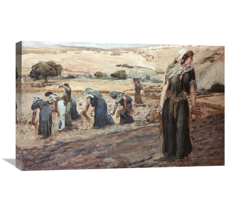 Ruth Gleaning On Canvas by James Tissot Print